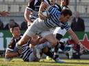 Saracens' Chris Wyles charges forward against Zebre 