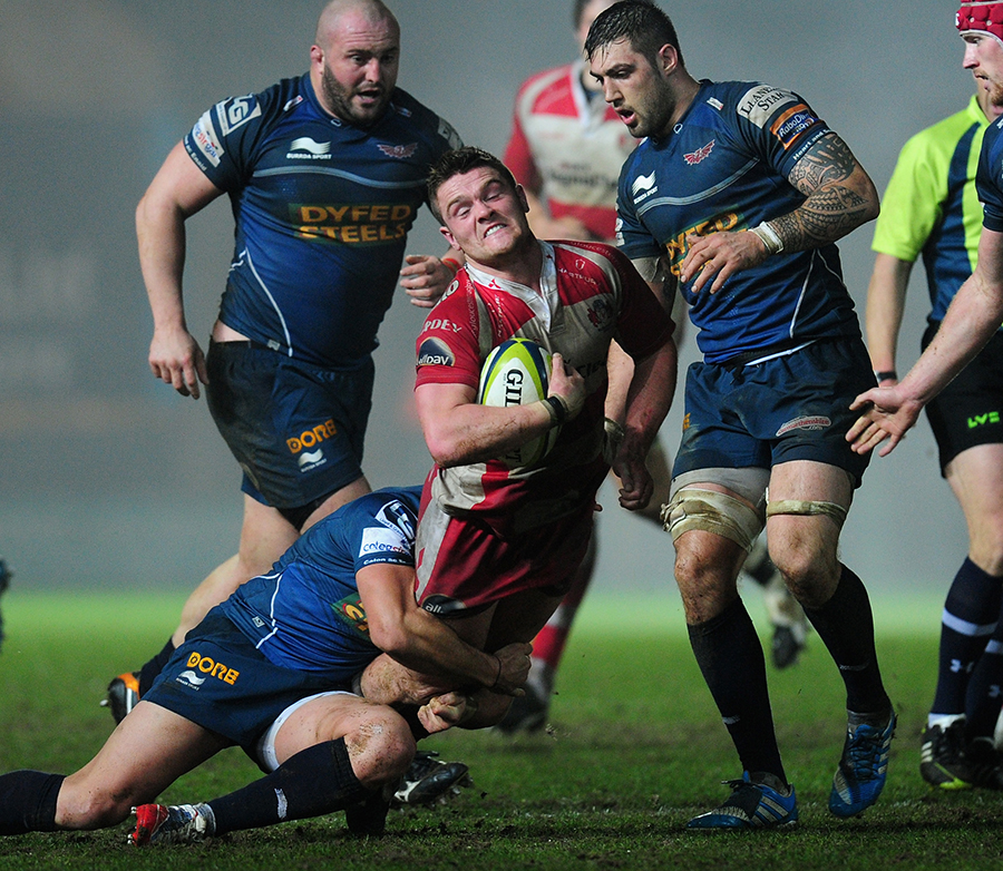 Gloucester scrum-half Travis Knoyle runs into stubborn Scarlets defence 