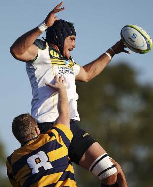 Brumbies backrower Ben Mowen rises to claim a lineout ball, Brumbies v ACT XV, Super Rugby trial match, Viking Park, Canberra, February 8, 2014 