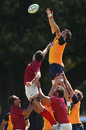 Jacques Potgieter catches a line-out ball at training