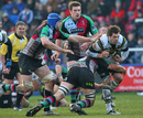 Northampton's James Downey is tackled by the Harlequins' defence