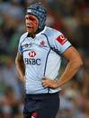 The Waratahs' Will Caldwell bears some war wounds