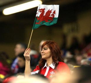 A fan cheers on Wales, Wales v Italy, Six Nations, Millennium Stadium, February 1, 2014