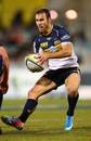 The Brumbies' Nic White challenges the line