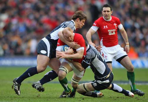 Wales' Martyn Williams looks to force an opening in the Scotland defence