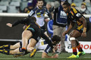 Brumbies scrum-half Nic White dives over for a try