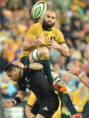 Australia's Scott Fardy wins the ball above New Zealand's Aaron Smith, Australia v New Zealand, The Rugby Championship, ANZ Stadium, Sydney, August 16, 2014