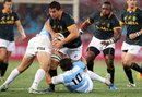 South Africa v Argentina, Rugby Championship