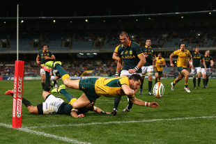 Wallabies' winger Adam Ashley-Cooper drops the ball after diving over the tryline, Australia v South Africa, Rugby Championship, Pattersons Stadium, Perth, September 6, 2014