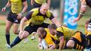 Mike Tindall in action for North Tawton