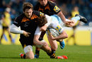 Newcastle's Simon Hammersley is felled by the Wasps defence