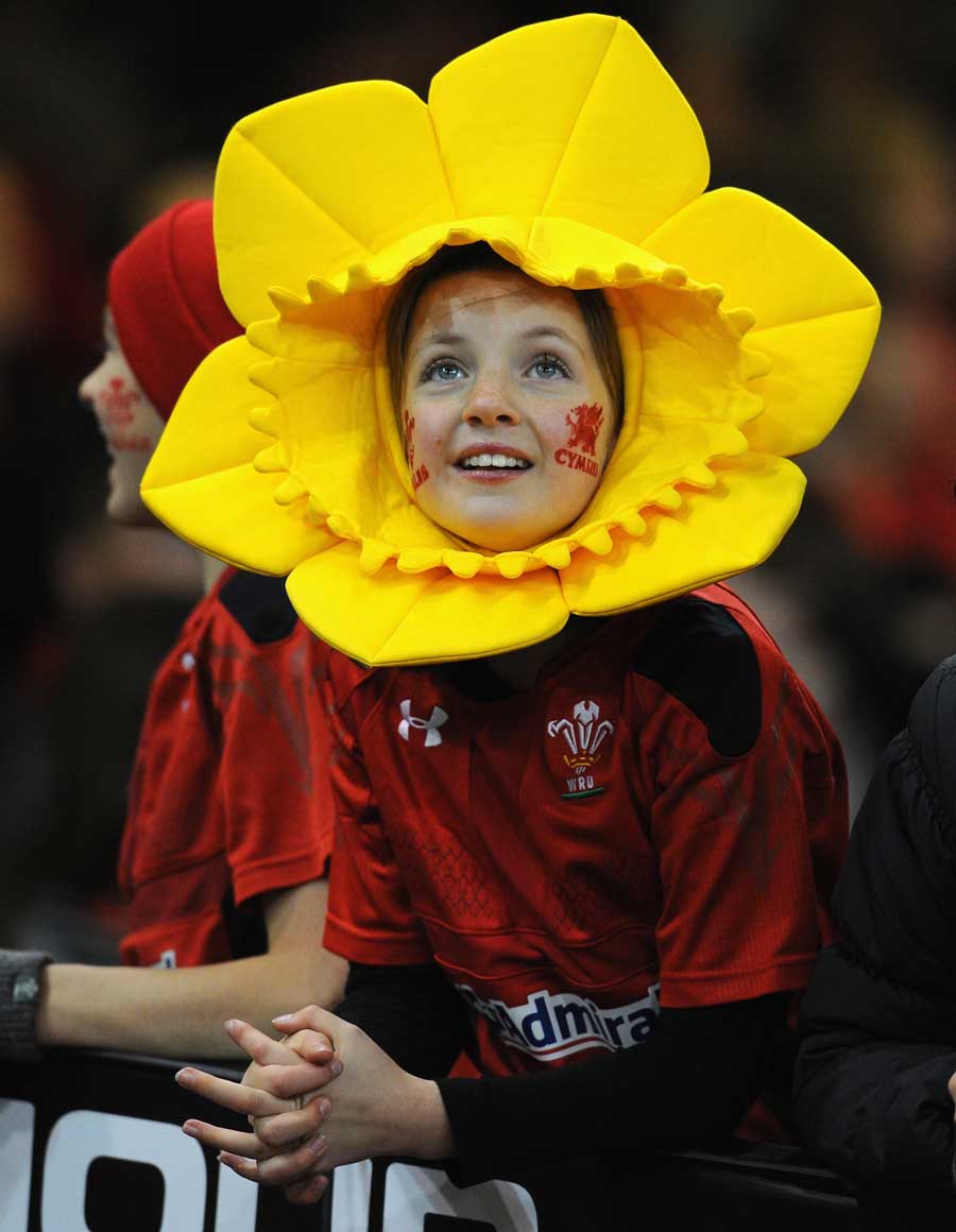 A Welsh fan watches on as they take on Fiji