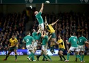 Paul O'Connell claims a line-out