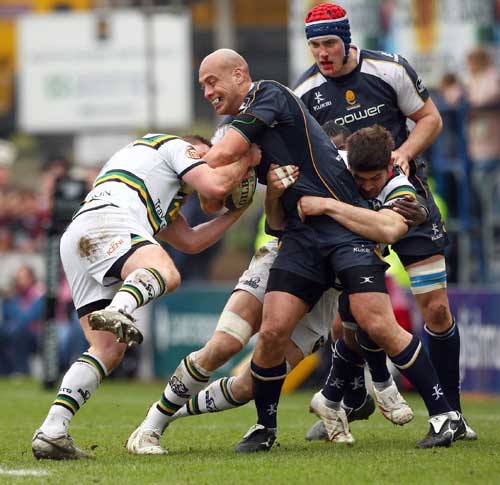 Worcester's Dale Rasmussen tries to shake off the Northampton defence