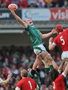 Ireland's Paul O'Connell reaches for the ball at a lineout