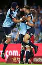 The Waratahs' David Horwitz (right) celebrates his try with Dean Mumm and team-mates