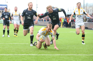Dan Robson drives through to score a try, Newcastle Falcons v Wasps, Aviva Premiership, Kingston Park, March 27, 2016