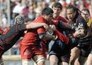 Toulouse's Finau Maka vies with Toulon's Guillaume Ribes