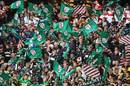 Fans wave flags ahead of the Guinness Premiership Final