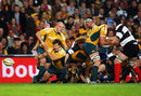 Australia's Luke Burgess passes the ball against the Barbarians