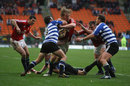 British & Irish Lions No.8 Andy Powell pushes forward against Western Province