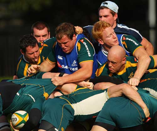 Australia's forwards get reacquainted with the rolling maul during training
