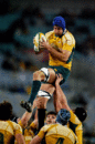 Australia's Nathan Sharpe catches the ball in a lineout