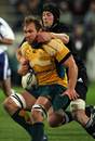 Australia flanker Rocky Elsom is clattered by Tom Donnelly
