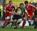 Northampton's Phil Dowson spots a gap in the Munster defence