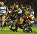 Northampton Saints' Carlos Spencer is shackled by the Leicester Tigers defence