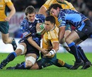 Australia's Matt Tooma is felled by the Blues' defence
