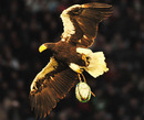 A Sea Eagle delivers the match ball to Twickenham