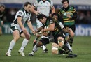 Northampton flanker Phil Dowson is caught
