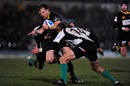 Wasps' Lachlan Mitchell is stopped by the Roma defence