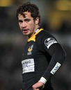 London Wasps fly-half Danny Cipriani looks on