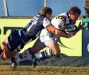 Northampton's Paul Diggin dives in to score a try